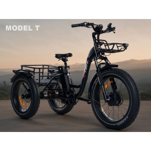 E-Fati T vélo 3 roues, avec assistance électrique