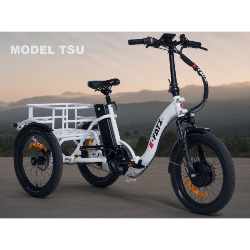 E-Fati T vélo 3 roues, avec assistance électrique