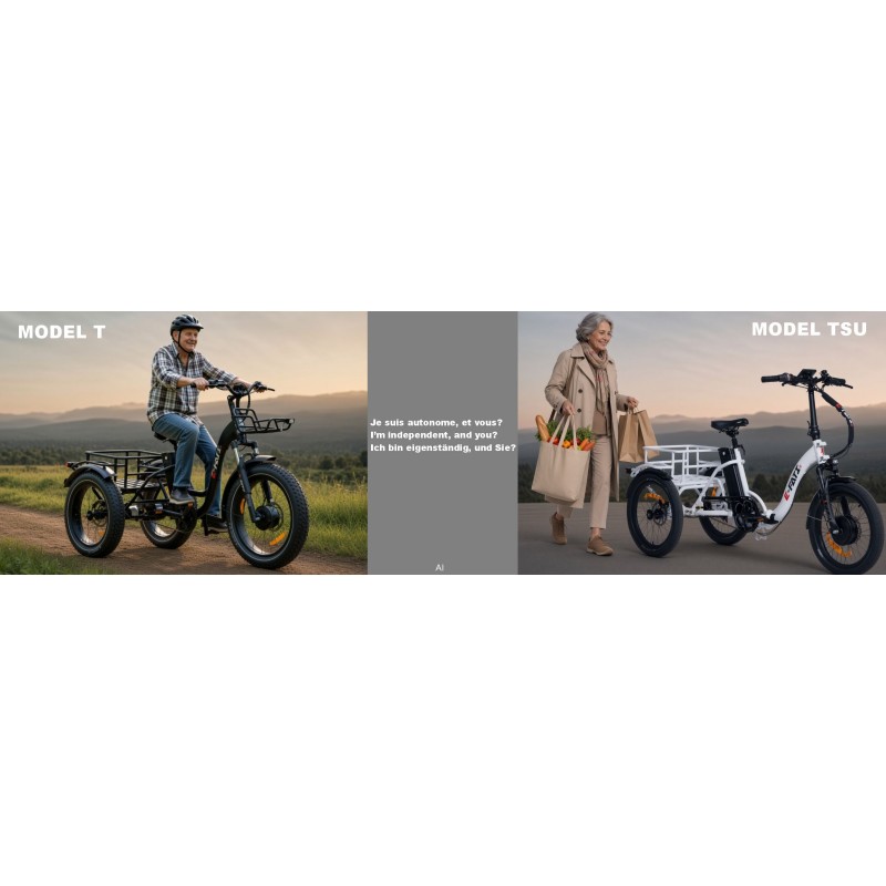 E-Fati T vélo 3 roues, avec assistance électrique